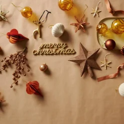 CASA STAR Décoration Séchée