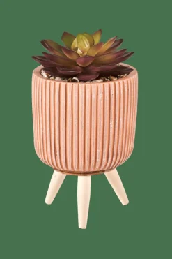 CASA STRIPE Plante Grasse Artificielle Multicolore