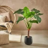CASA TARO Plante Artificielle Arum Vert
