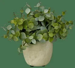 CASA TERRA Pot Avec Plante Blanc, Vert
