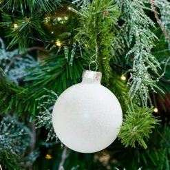 CASA WHITE Branche D'eucalyptus Blanc