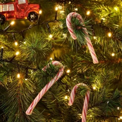 CASA X-MAS CANDY CANE Sucre D'orge Set De 12 144g Multicolore